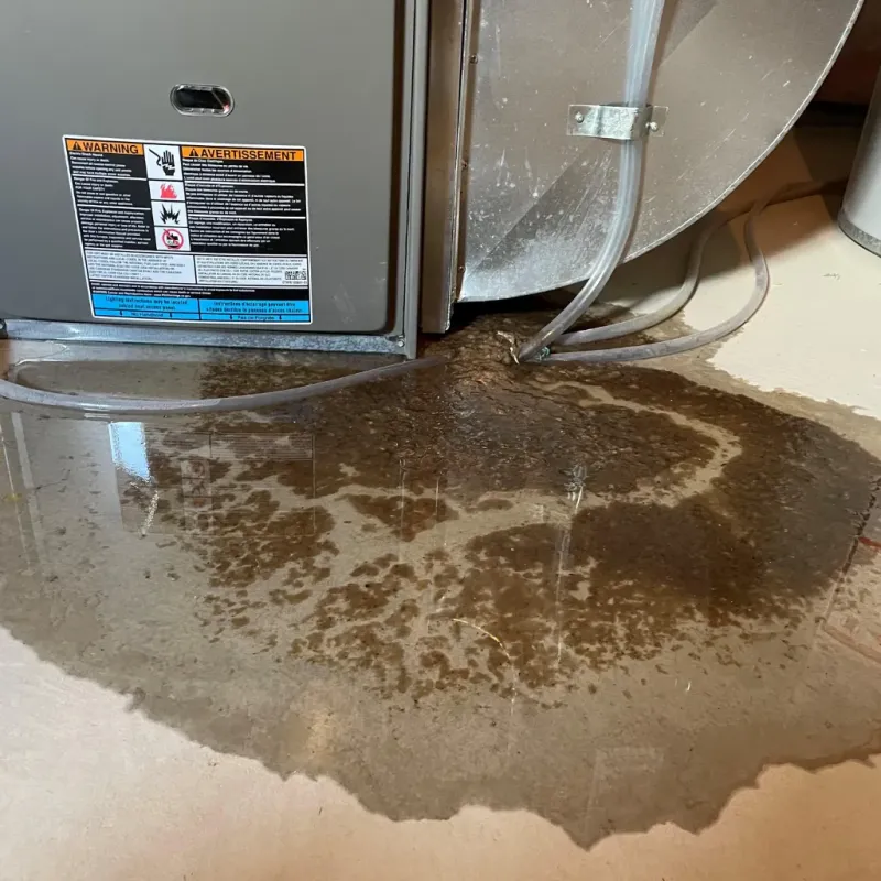 Appliance Leak Cleanup in Red Springs, NC